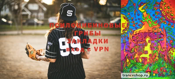 мдпв Володарск