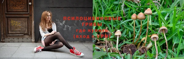 тгк Волоколамск