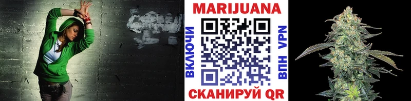Бошки марихуана OG Kush Выборг